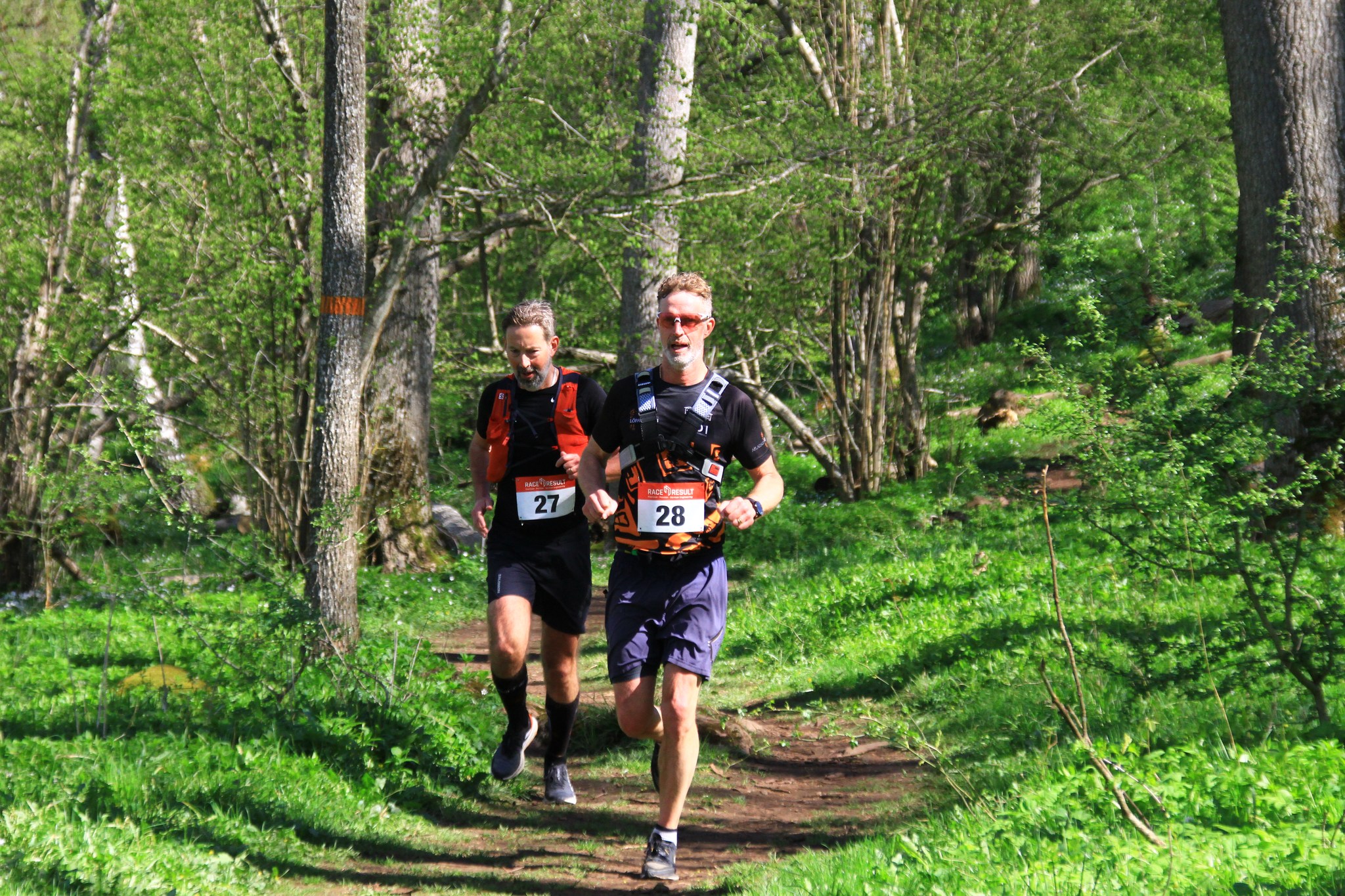 image: Billingen trail